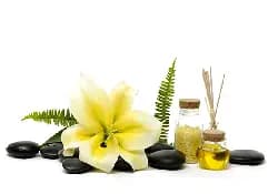 massages spa near me